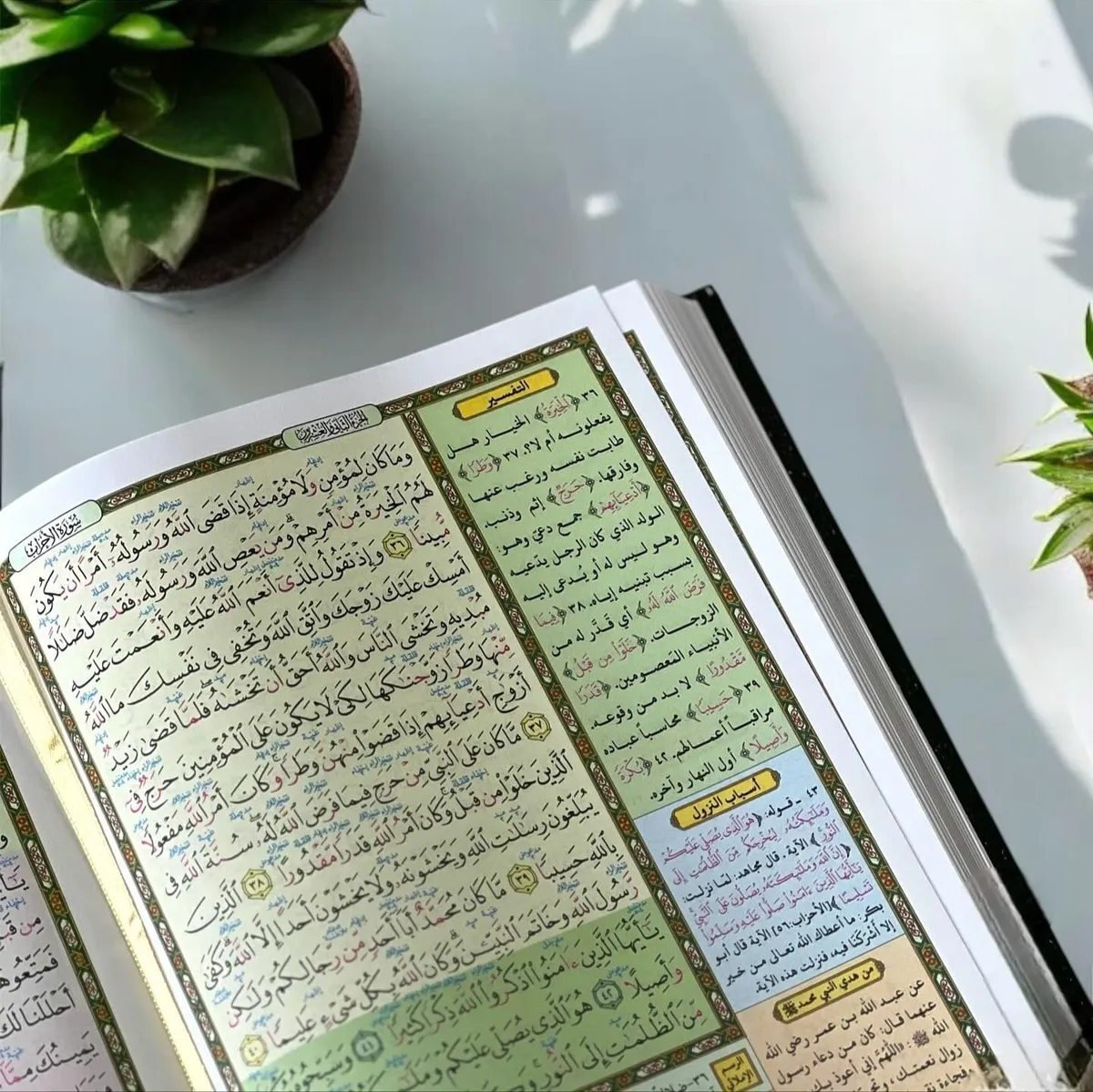 تفاصيل المصحف